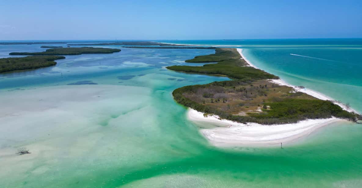 Tierra Verde FL: Coastal Kayaking Tour in Shell Key | GetYourGuide