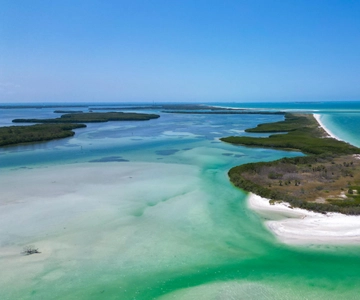 Tierra Verde FL: Coastal Kayaking Tour in Shell Key