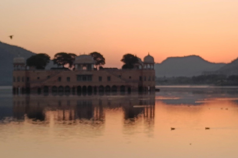 Visite guidée d'une journée dans la ville rose de Jaipur