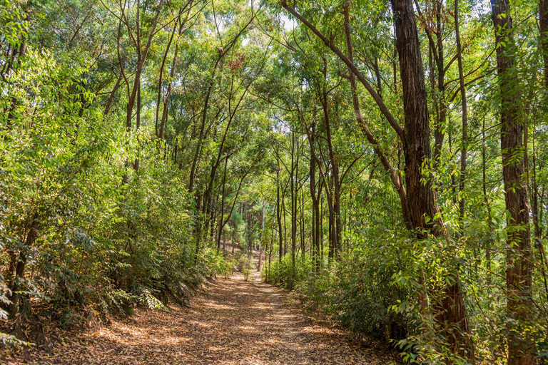 Kigali: Mount Jali Hiking and Village Walk