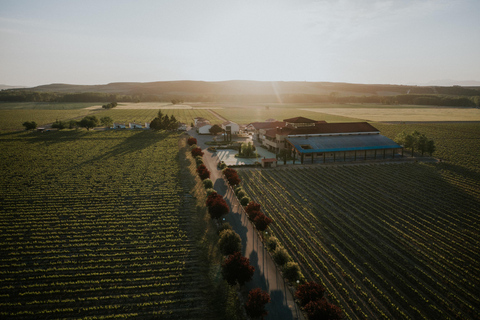Au départ de Bilbao : La Rioja, un voyage à travers les vignobles et la traditionDepuis Bilbao : La Rioja, un voyage à travers les vignobles et la tradition