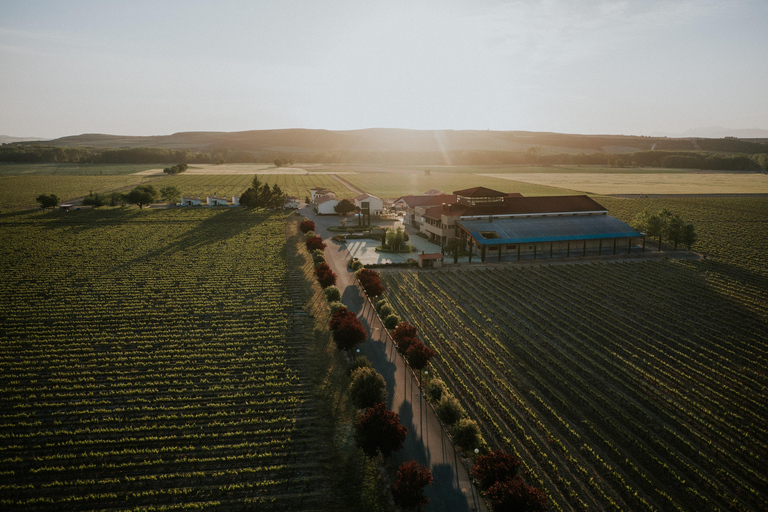 Au départ de Bilbao : La Rioja, un voyage à travers les vignobles et la traditionDepuis Bilbao : La Rioja, un voyage à travers les vignobles et la tradition
