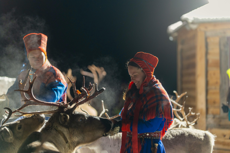 Tromsø: Reindeer Camp Visit & Aurora Chase