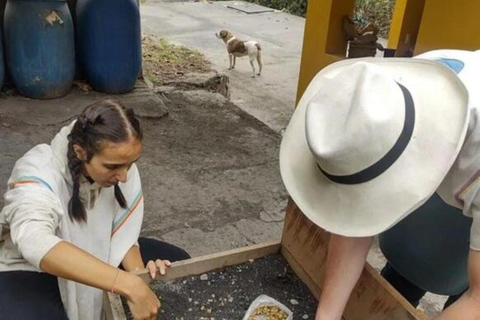 FROM BOGOTA: Coffee Tour in Choachí, An Authentic and Aromatic Adventure.