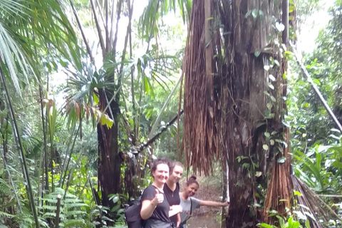 3-Day Amazon Expedition: Jungle, River & Wildlife Tour