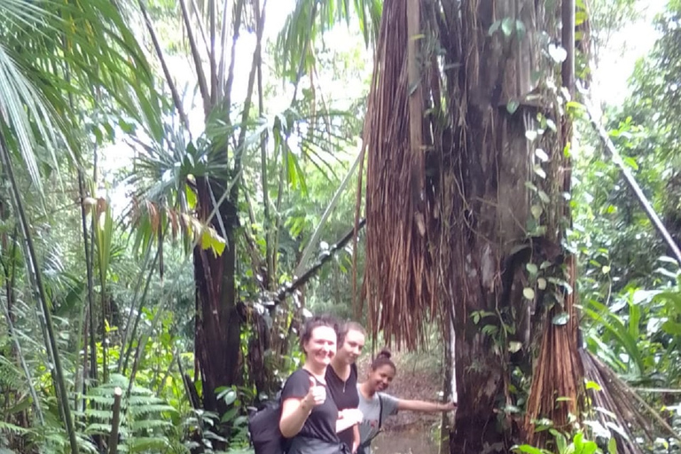 3-Day Amazon Expedition: Jungle, River & Wildlife Tour