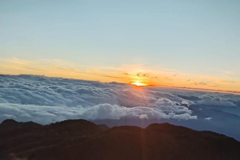 Volcan Baru Sunrise Hike with Hotel Pickup