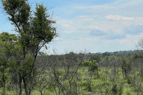 5 Days-Kruger Park and Panorama Route Tour From Johannesburg