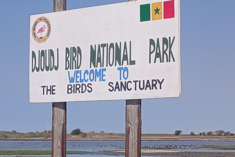 Saint-Louis Tours: Horse-Drawn Carriage Ride, Djoudj Bird Sanctuary, Museum Archipelago Saint-Louis Tours: Horse-Drawn Carriage Ride, Djoudj Park, Museum Archipelago
