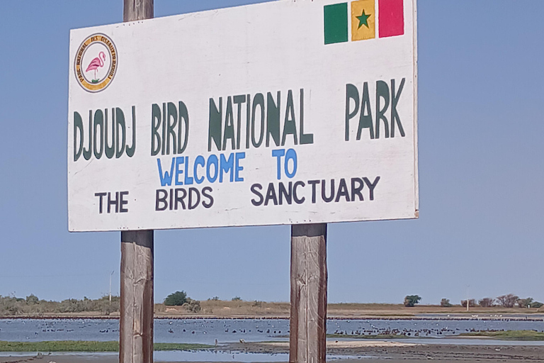 Saint-Louis Tours: Horse-Drawn Carriage Ride, Djoudj Bird Sanctuary, Museum Archipelago Saint-Louis Tours: Horse-Drawn Carriage Ride, Djoudj Park, Museum Archipelago