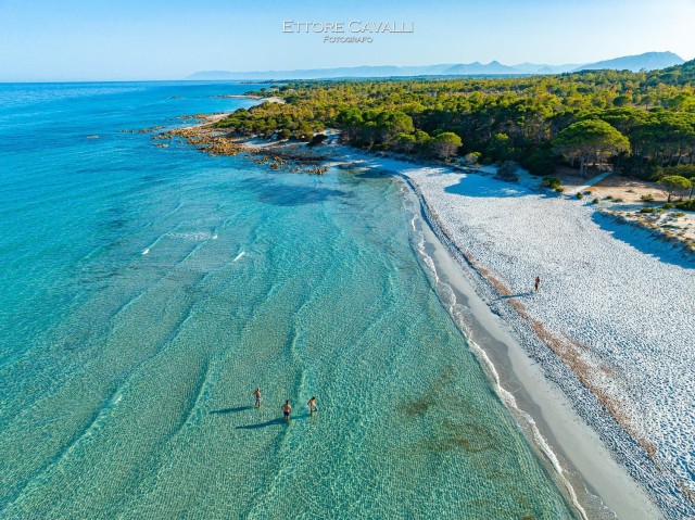 Visit From Orosei Biderosa and Capo Comino Beaches 4x4 Tour in Orosei, Sardinia
