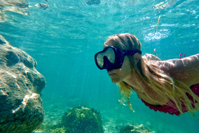 West Palm Beach: Beginner Snorkeling with Turtles &amp; Videos