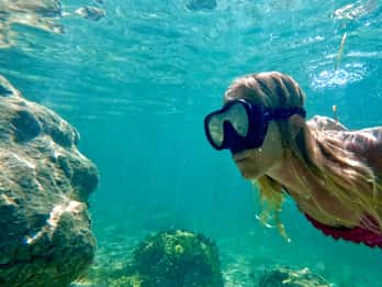 West Palm Beach: Excursión de snorkel para principiantes con tortugas y vídeos