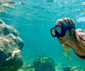 West Palm Beach: Beginner Snorkel Tour with Turtles & Videos