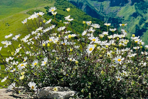 From Tbilisi: Day Trip to Kazbegi
