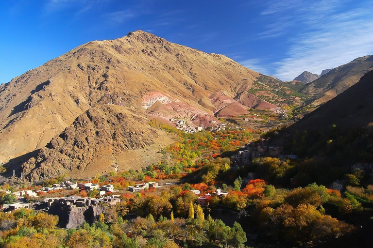 From Marrakech: Full-Day Atlas Mountain Berber Tour