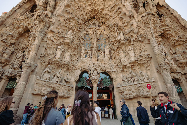 Barcelona: Sagrada Familia Tour w/Skip-the-Line Entry Ticket