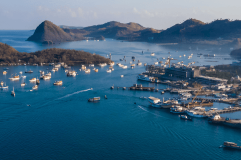 Całodniowa wycieczka na wyspę Komodo na wyspie Labuan Bajo