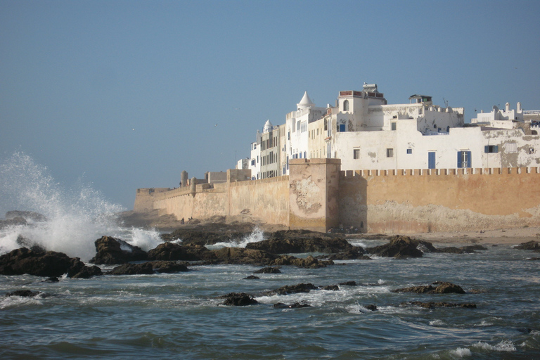 Agadir or Taghazout Essaouira old city day Trip with guide