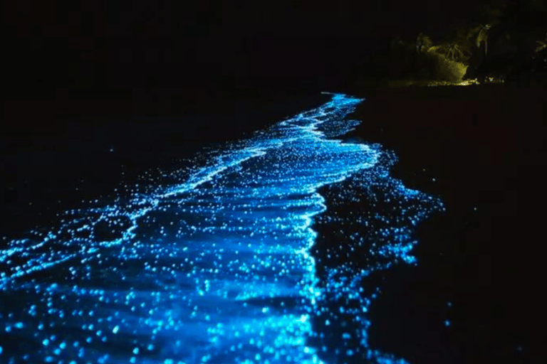 Circuit des 7 îles au coucher du soleil + planctons bioluminescents et barbecue