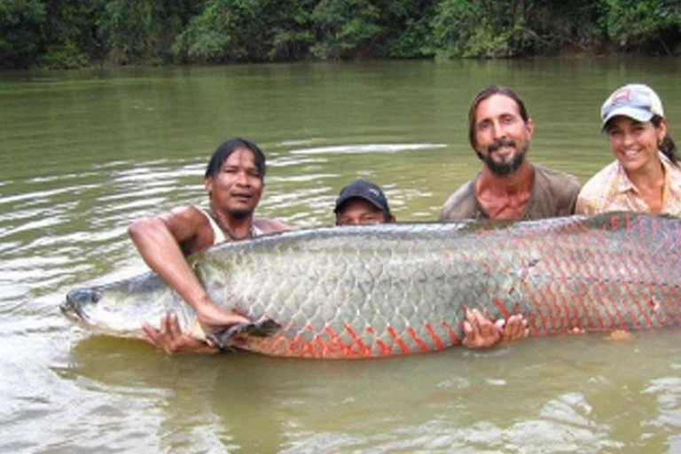 Iquitos Jungle 3D |bateau+ pêche au Piranha+excursion de nuit|