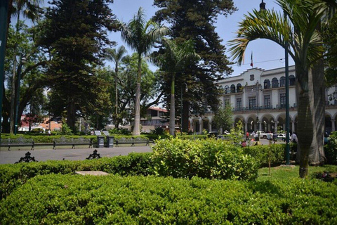 Veracruz: Tour Coatepec, Xico e XalapaExcursão a Veracruz Coatepec, Xico e Xalapa