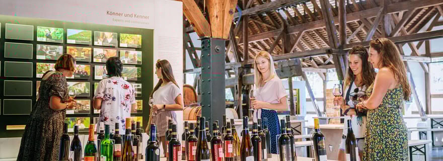 Stuttgart : visite guidée du musée de la vigne et du vin, 0,1 l de vin inclus
