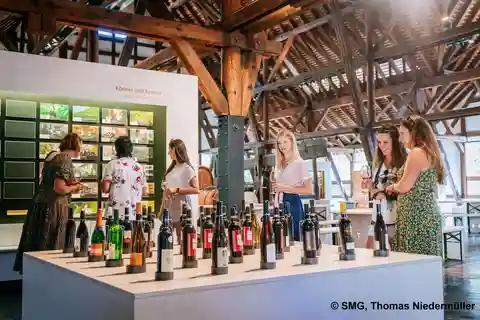 Stuttgart : visite guidée du musée de la vigne et du vin, 0,1 l de vin inclus