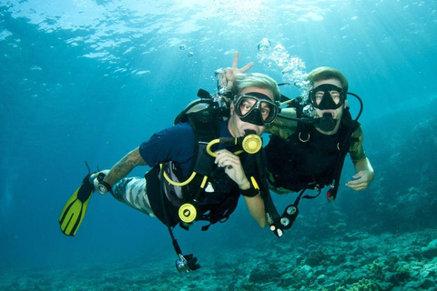 Agadir: przygoda z nurkowaniem na Oceanie AtlantyckimAgadir: Przygoda z nurkowaniem w Oceanie Atlantyckim