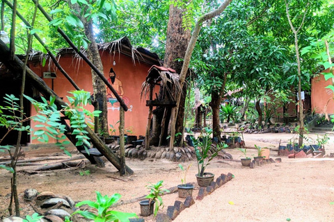 From Kandy: Sigiriya & Dambulla Day Tour with Safari