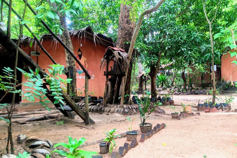 From Kandy: Sigiriya & Dambulla Day Tour with Safari