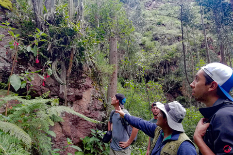 EXPERIENTIAL TOURISM AND FULL DAY MEDICINAL PLANTS CLASSES