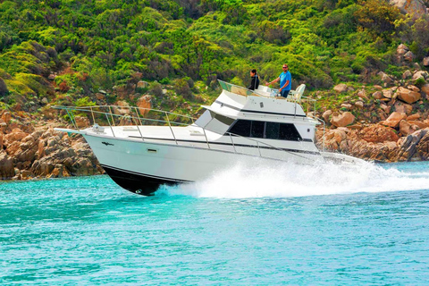 From S. Teresa Gallura: Speedboat Tour with Lunch between Lavezzi and Isola Piana