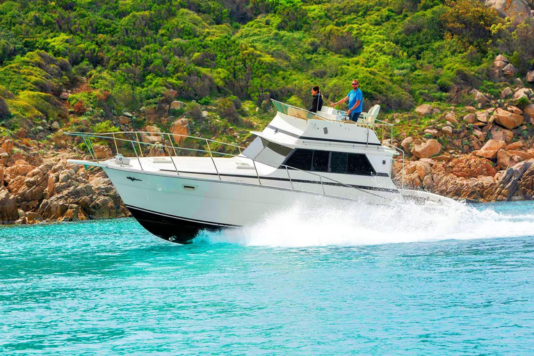 From S. Teresa Gallura: Speedboat Tour with Lunch between Lavezzi and Isola Piana
