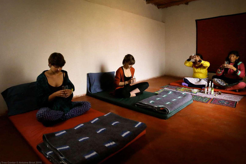 Retraite Wachuma+Ayahuasca, 2 jours - formule intermédiaire