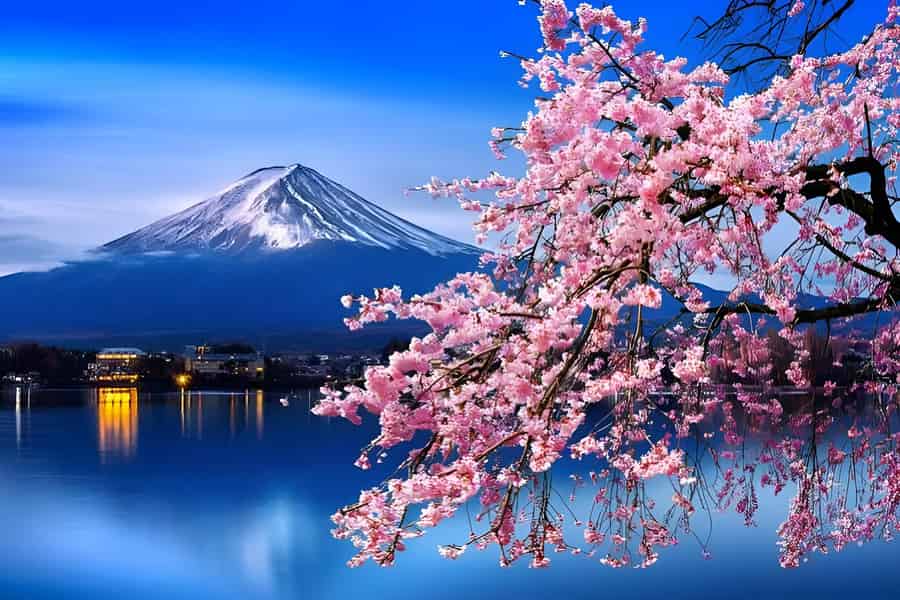 Tokio: Ganztägige private Tour zum Berg Fuji mit Reiseleiter (anpassbar). Foto: GetYourGuide