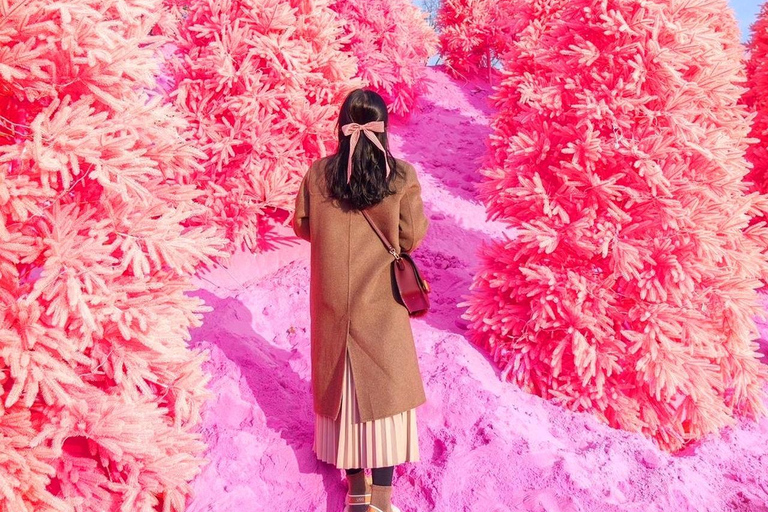 من سيول: جولة رومانسية في بلاد العجائب الشتويةجولة رومانسية في بلاد العجائب الشتوية من سيول الموسم