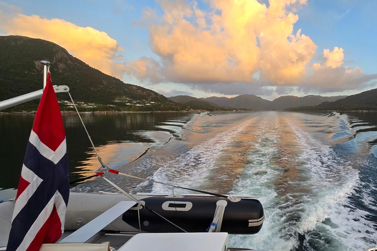 From Bergen: Private Mostraumen Fjord Cruise