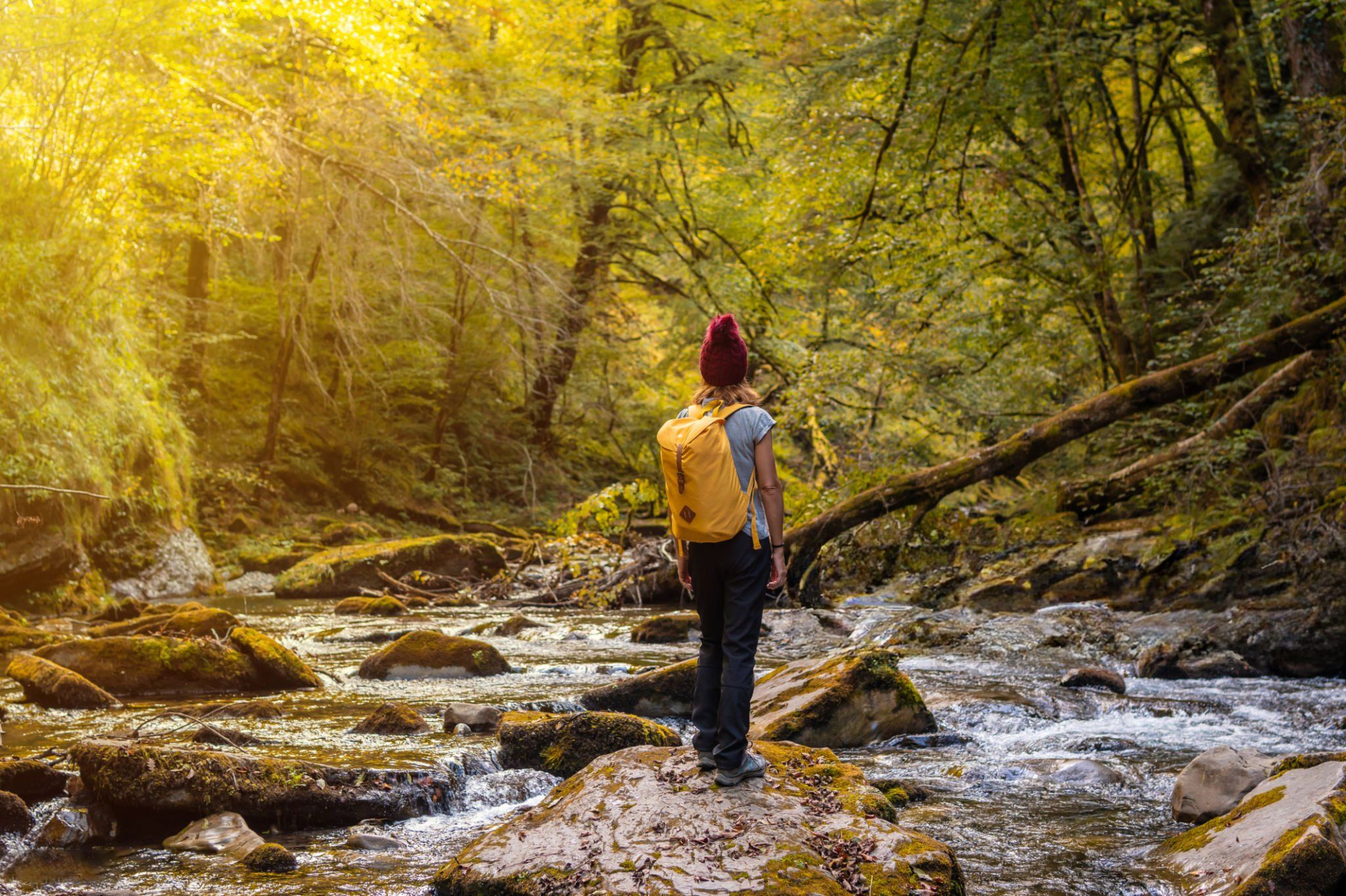 Von Pamplona aus: Tagestour mit Guide zum Irati-Wald und nach Ochagavia