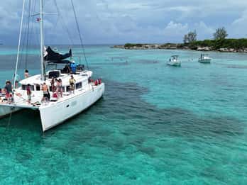 Nassau: mergulho com snorkel, Pig Beach, nado com tartarugas e almoço
