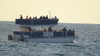 Panama City, Sunset Dolphin Cruise in St. Andrews Bay - Housity