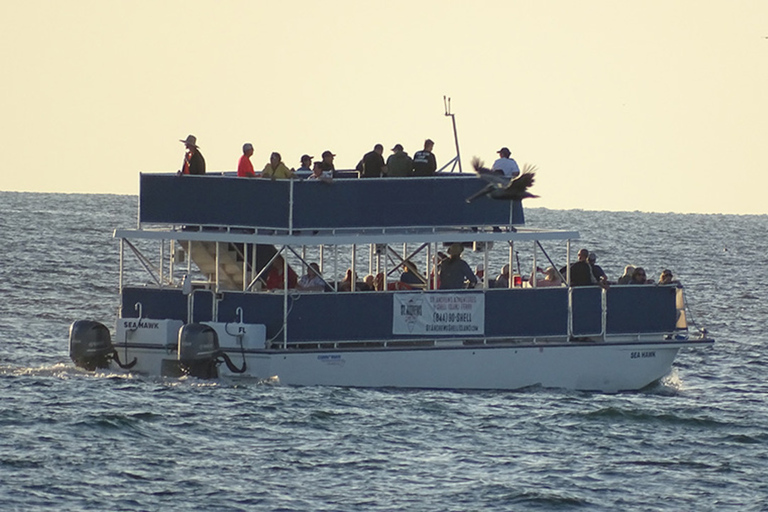 Panama: Rejs z delfinami o zachodzie słońca w zatoce St. Andrews