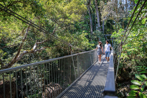 Cairns: 3-Day Daintree, Cape Tribulation & Port Douglas Tour Private Single Room (Adults only)