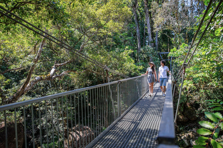 Cairns: 3-Day Daintree, Cape Tribulation & Port Douglas Tour Private Single Room (Adults only)