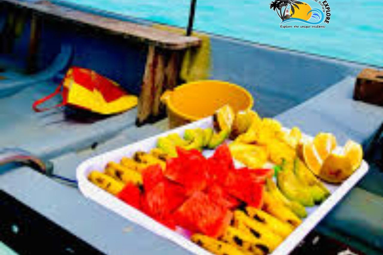 From Nungwi/Kendwa: Mnemba Atoll Starfishes & Dolphins Tour Shared Tour with Nungwi Beach Meeting Point without Lunch
