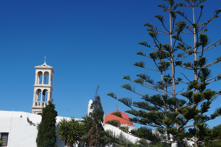 Private Island Tour: A Drive Around Mykonos' highlights