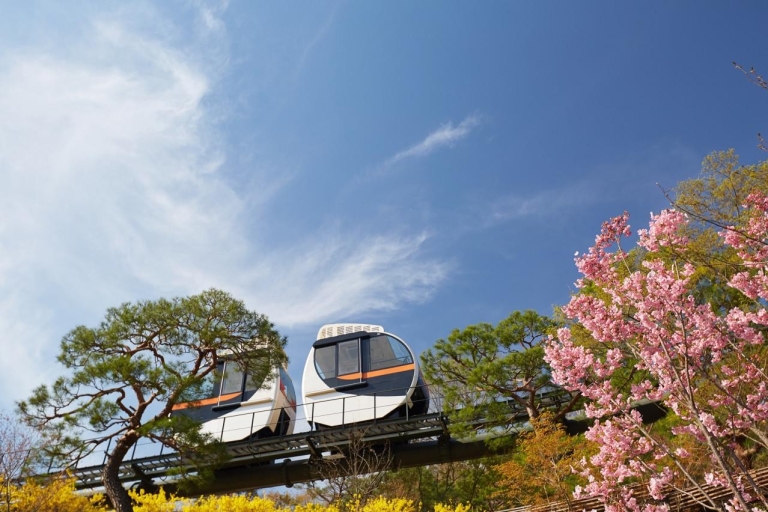 Seoul: Hwadam Botanic Garden & Nami Island Flowers Day Tour Nami & Railbike Tour, Meet at Myeongdong