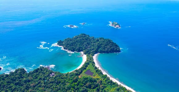 Manuel Antonio: Guided Wildlife Tour w/ Binoculars & Tickets