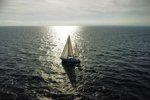 Santa Pola: Sailboat trips to Tabarca, snorkeling, and sunset with tasting