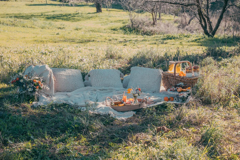 Surprise Engagement on La Palma - Romantic Picnic & Photo Shoot Surprise engagement on La Palma - romantic picnic & photo shoot
